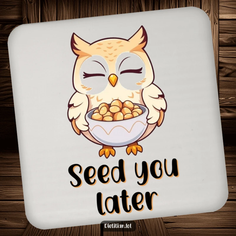 Funny owl coasters featuring a winking owl offering seeds, protecting furniture with wise humor and charm.